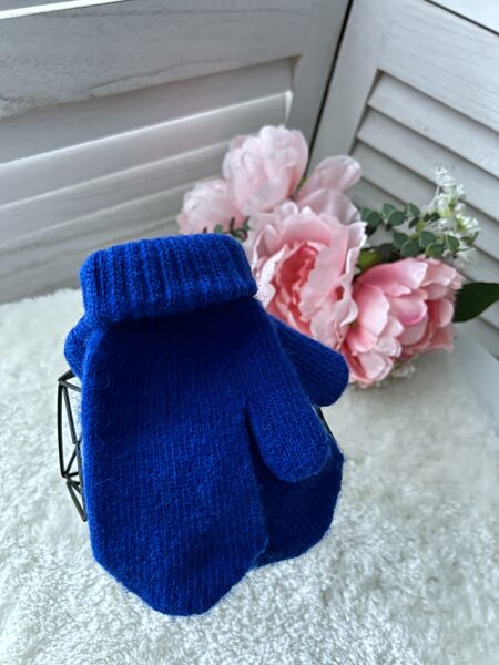 ROYAL BLUE DŪRAIŅI
